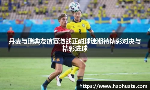 丹麦与瑞典友谊赛激战正酣球迷期待精彩对决与精彩进球